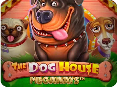 Dog House