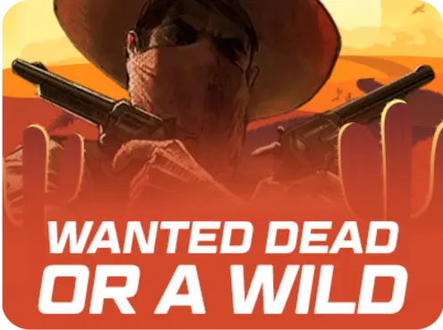 Wanted Dead or a Wild